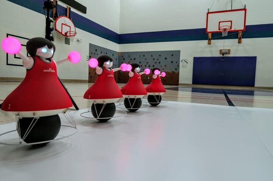 Murata robots performing routine.