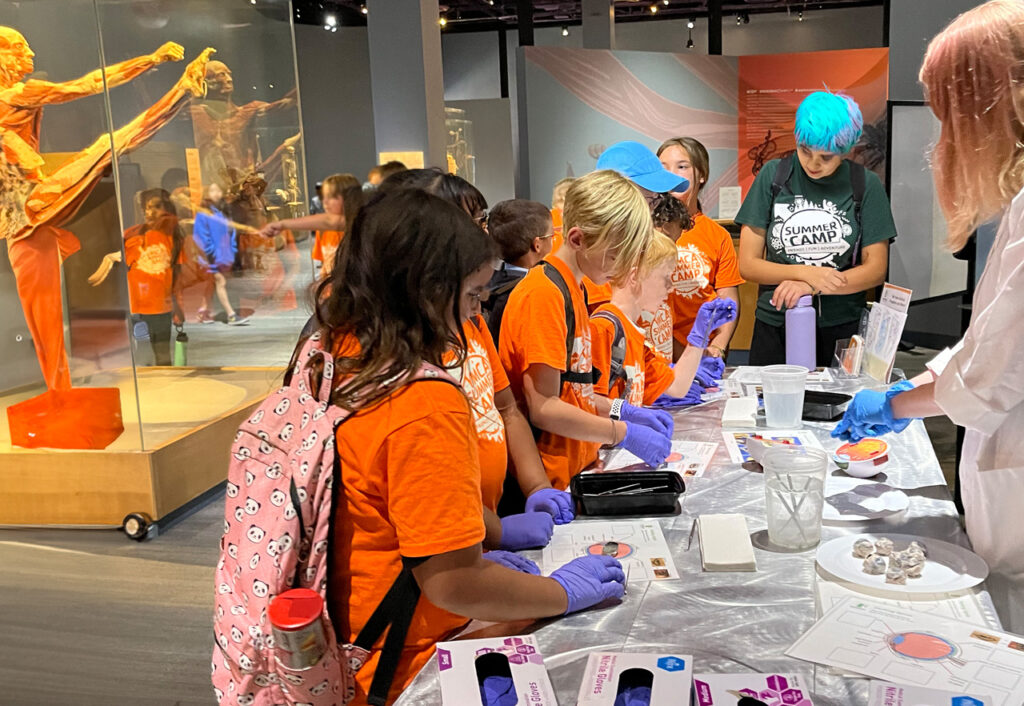 Libraries And Museums Science From Scientists